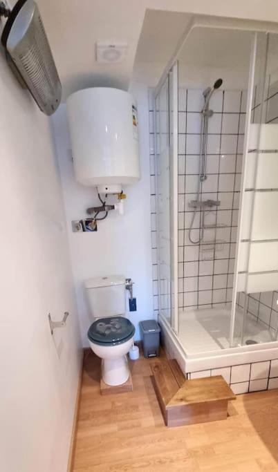 Studio En Rez De Jardin Avec Terrasse Privee - Le Petit Chateau Avesnois - Tv - Wifi - Logement Complet Avesnes-sur-Helpe Exteriör bild